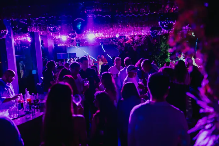 Summer Party 2026: The lounge under a shimmer-tinsel ceiling in violet