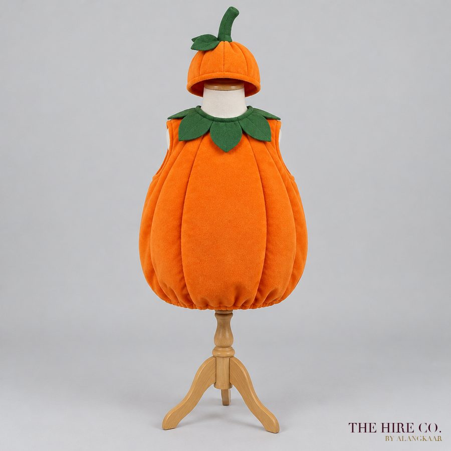 Kids Pumpkin Costume