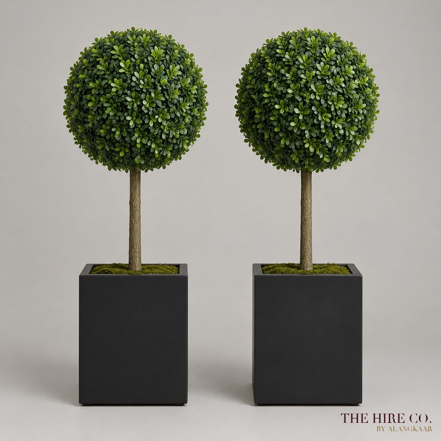 Boxwood Ball Topiary (pair)