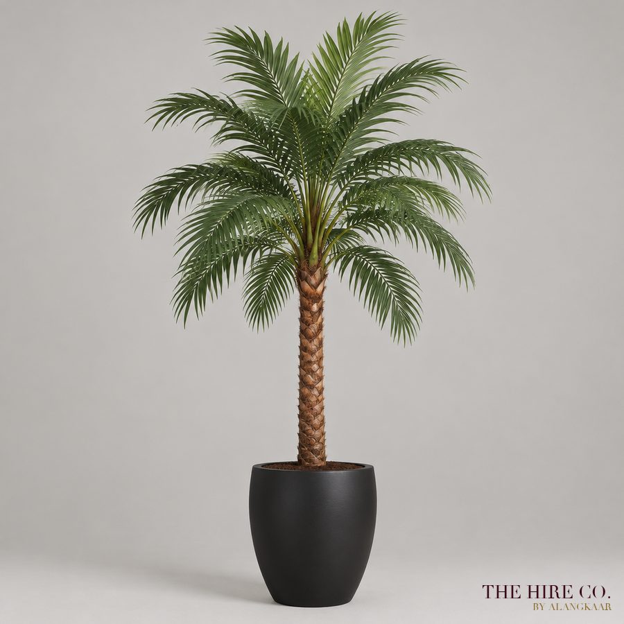 Faux Palm Tree 2.4 m in Pot