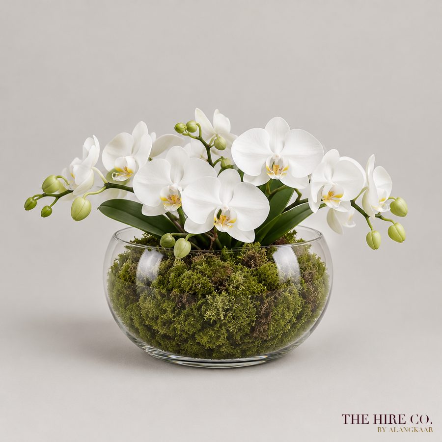 Silk Orchid in Fishbowl
