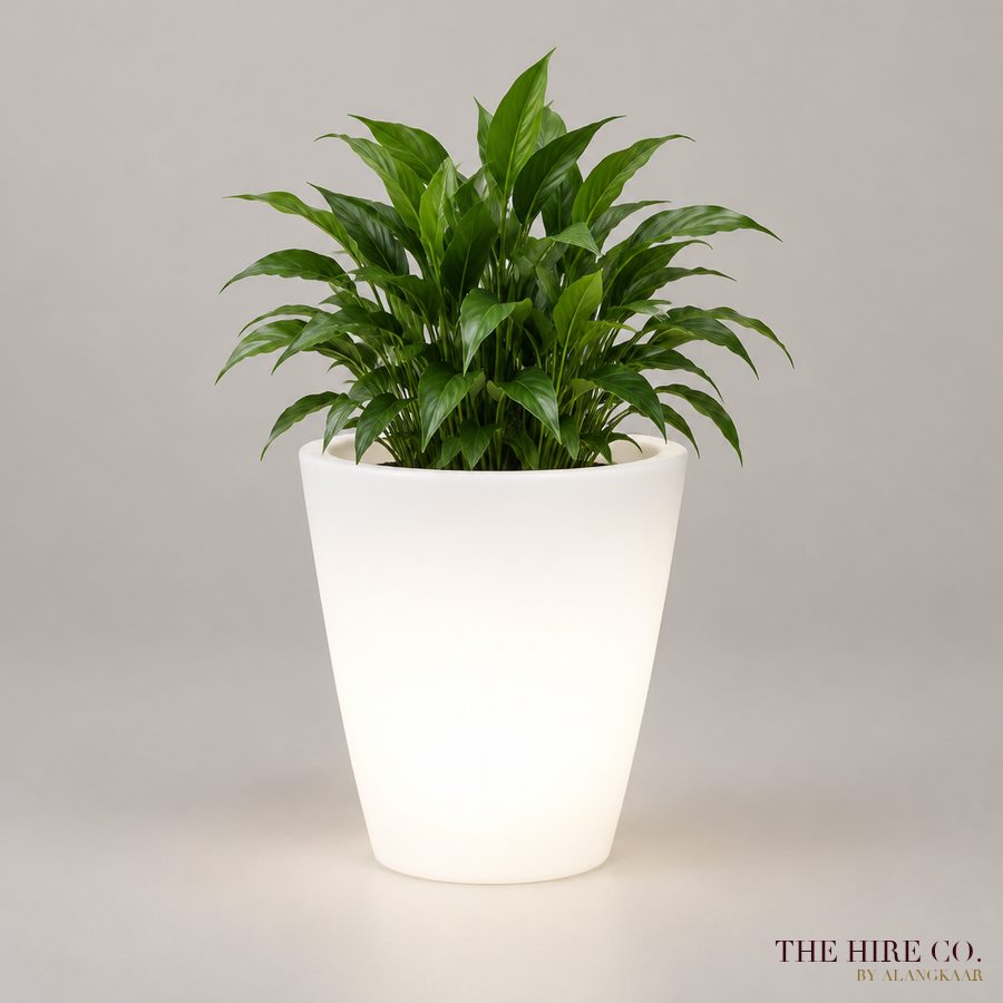LED Planter 60 cm