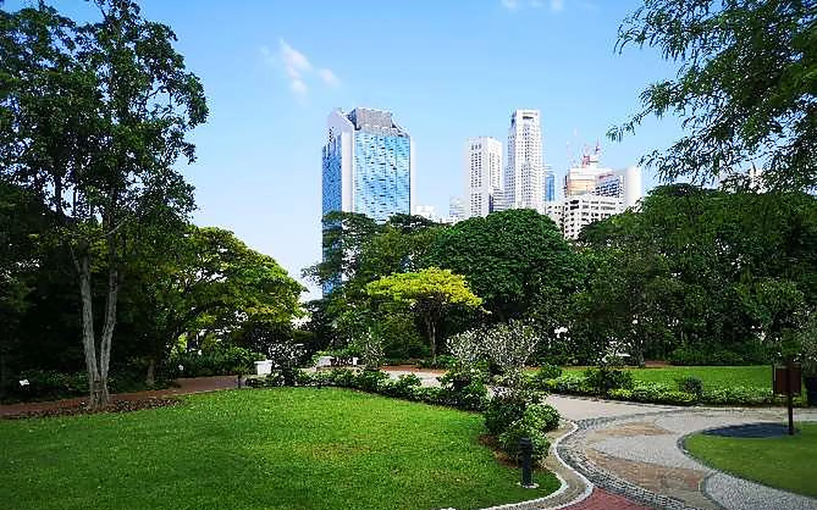 Raffles Garden at Fort Canning Park, with the city skyline behind