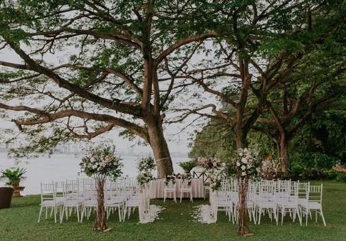 White aisle under the rain trees on Rasa Lawn