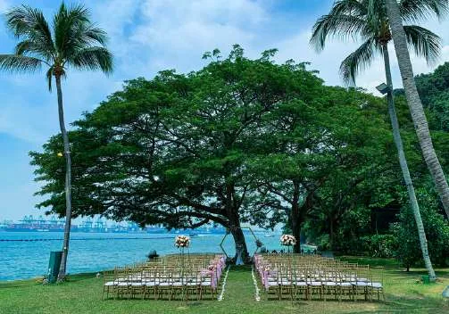 Rasa Lawn